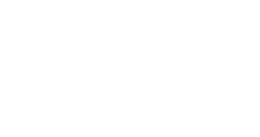 KS DYNAMICS